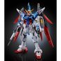 BANDAI MOBILE SUIT GUNDAM SEED DESTINY - Real Grade RG DESTINY GUNDAM (TITANIUM FINISH) Model Kit Figure (Gunpla)