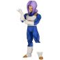 BANDAI Banpresto - DRAGON BALL Z SOLID EDGE WORKS THE SHUTSUJIN 2 Trunks Figure