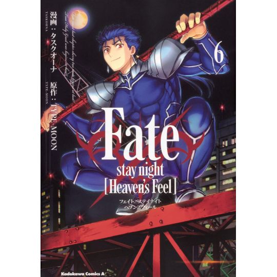 Fate/stay night [Heaven's Feel] vol.6 - Kadokawa Comics Ace (version japonaise)