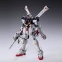 BANDAI MG Mobile Suit CROSS BONE GUNDAM - Master Grade CROSS BONE GUNDAM X-1 Ver.Ka Model Kit Figure (Gunpla)