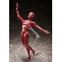 FREEing - figma Human Anatomical Model Figure