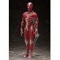 FREEing - figma Human Anatomical Model Figure