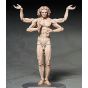 FREEing - figma The Table Museum Vitruvian Man Figure