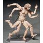 FREEing - figma The Table Museum Vitruvian Man Figure