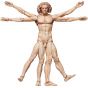 FREEing - figma The Table Museum Vitruvian Man Figure