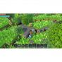 Portal Knights SONY PS4 PLAYSTATION 4