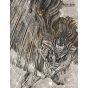 Berserk vol.41 - Canvas Art & Drama CD Special Edition - Young Animal Comics (version japonaise)