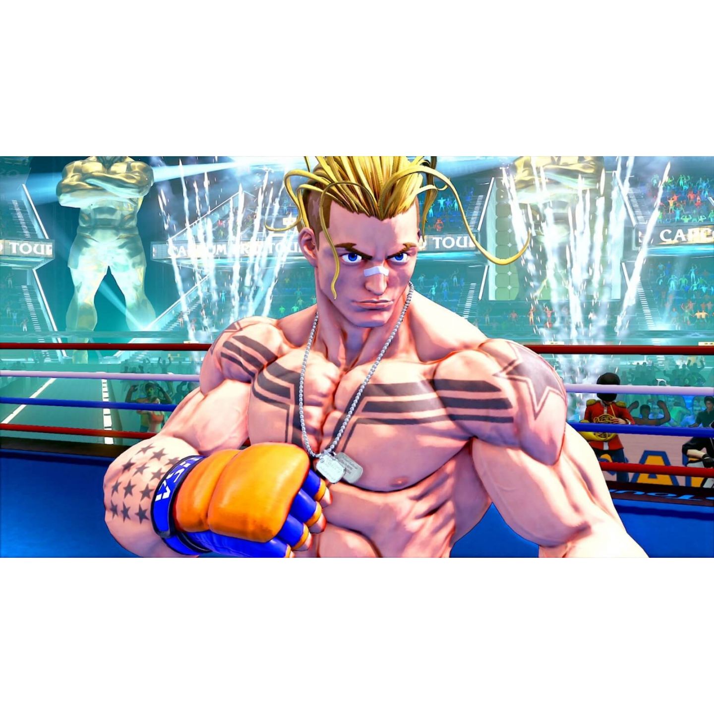 CAPCOM - Street Fighter V Champion Edition All Characters Pack for