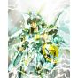 BANDAI Saint Seiya Myth Cloth Dragon Shiryu Figure (God Cloth)