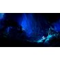 IAM8BIT - Ori e la volontà dei ciuffi per Nintendo Switch