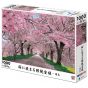 EPOCH - Cherry Blossoms (Sakura) - 1000 Piece Jigsaw Puzzle 10-817s