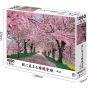 EPOCH - Cherry Blossoms (Sakura) - 1000 Piece Jigsaw Puzzle 10-817s