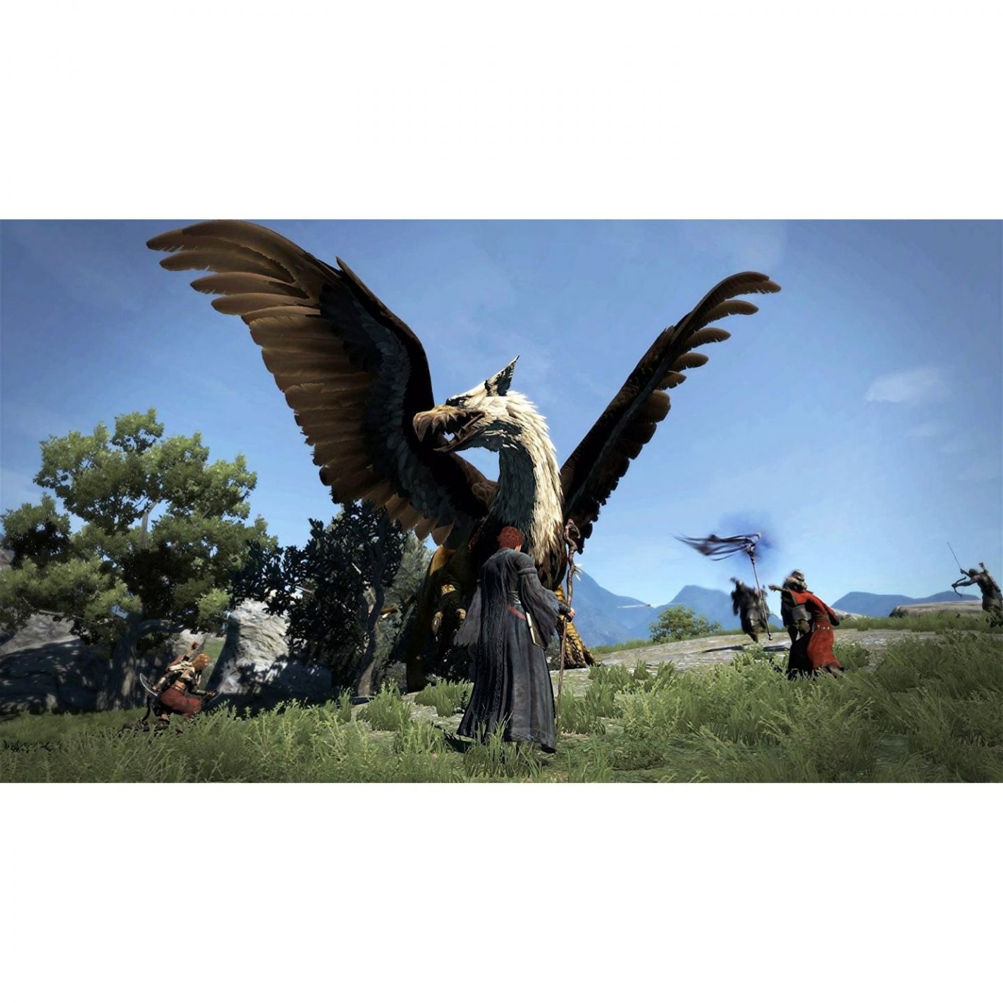  Dragon's Dogma: Dark Arisen - Standard Edition - PlayStation 4  : Capcom U S A Inc: Everything Else