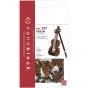 KAWADA - Nanoblock Violin NBC-337