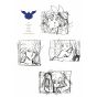 Artbook - Dragon Quest - Dai no Daiboken (The Adventure of Dai) Dragon Crest BOX