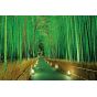 EPOCH - Arashiyama Bamboo Forest - 2016 Piece Jigsaw Puzzle 23-546