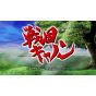 CITY CONNECTION - Psikyo Shooting Library vol.2 para Sony Playstation PS4