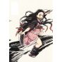 Artbook - Demon Slayer (Kimetsu no Yaiba) TV Anime Illustration Records Vol. 1