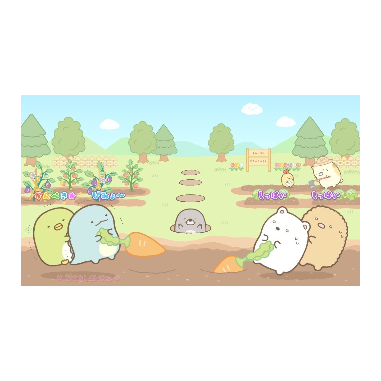 Sumikko Gurashi Sumi Pack He Yokoso NINTENDO  