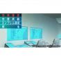 System Soft Daisenryaku Perfect 4.0 SONY PS4 PLAYSTATION 4