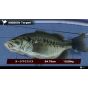 D3 Publisher - The Bass Fishing pour Nintendo Switch