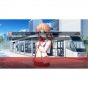 Aria Daitoshokan no Hitsujikai Bibliotheksfeier NINTENDO SWITCH