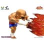 BigBoysToys - "Street Fighter" T.N.C-10 Sagat