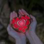 Nintendo - Libro della luce interna di The Legend of Zelda: Tears of the Kingdom Heart Vessel