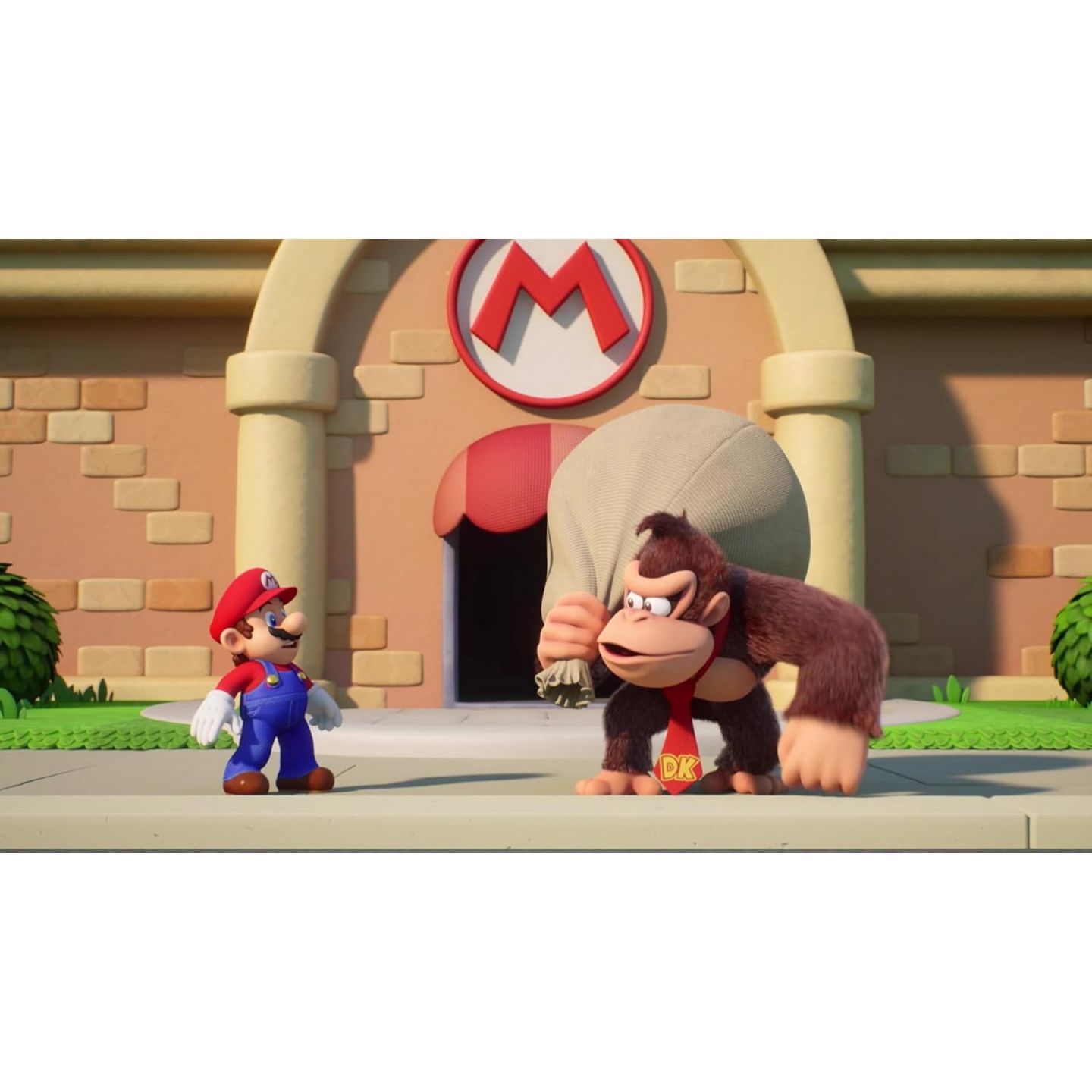 Mario vs. Donkey Kong™