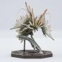 Capcom - Figure Builder Cube "Monster Hunter" Storm Dragon Amatsu