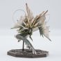 Capcom - Figure Builder Cube "Monster Hunter" Storm Dragon Amatsu