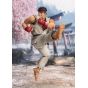 Bandai - S.H.Figuarts "Street Fighter" Ryu -Outfit 2-