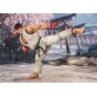 Bandai - S.H.Figuarts "Street Fighter" Ryu -Outfit 2-