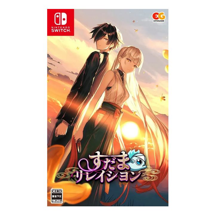 Entergram - Relazione Sudama|Nintendo Switch