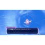 Compile Heart Hyperdimension Neptunia ReBirth3 V Generación Switch