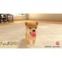 Imagineer Little Friends Perros y Gatos NINTENDO SWITCH