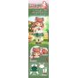 Simontoys NYZAII DREAM TOWN Series Trading Doll Box