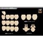 Kotobukiya Megami Device M.S.G 06 Face Set AUV Skin Color D Plastic Model Kit