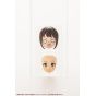 Kotobukiya Sousai Shojo Teien Eye Decal Master for Sousai Shojo Teien Plastic Model Kit