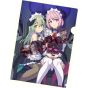 Inti Creates Gal Guardians Servants of the Dark Switch