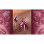 Cosmo Machia Inc. TriggerHeart EXELICA Enhanced Switch