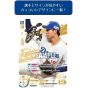 Bushiroad Professional Baseball Card Game DREAM ORDER Team Booster Chunichi Dragons Dragon's Will Box