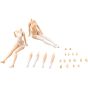 Kotobukiya Sousai Shojo Teien Dress Up Body M Plastic Model Kit