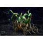 FREEing Shin Megami Tensei Demon Lord Mara Figure