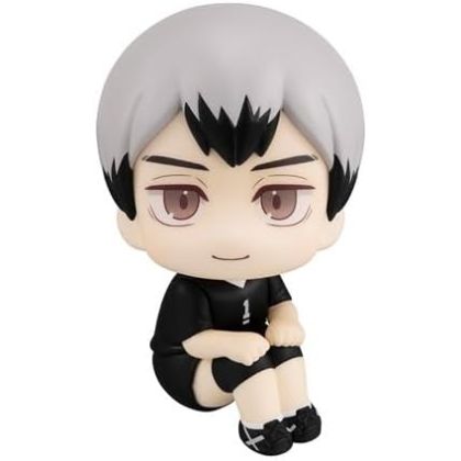 Megahouse Look Up Series...