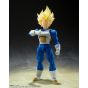 Bandai S.H.Figuarts Dragon Ball Z Super Saiyan Vegeta Awakening Super Saiyan Blood Figure