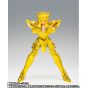 Bandai Saint Cloth Myth EX Aquarius Hyoga Successor of the Golden Cloth Figure