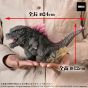 Plex Default Real Godzilla x Kong The New Empire Godzilla 2024 Evolved Ver Figure