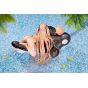 Apex Azur Lane Anchorage Dolphins and Swim Lessons Ver Figure