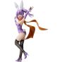 FREEing Ninja and Assassin's Cohabitation: Satoko Kusakakure Bunny Ver. 1/6 Scale Figure